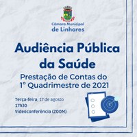 Audiência Pública da Saúde