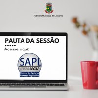 Pauta online: Saiba o que será discutido e votado acessando o nosso Processo Legislativo